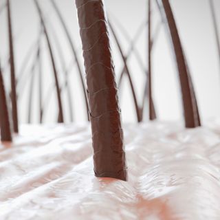 Cuoio capelluto più sano